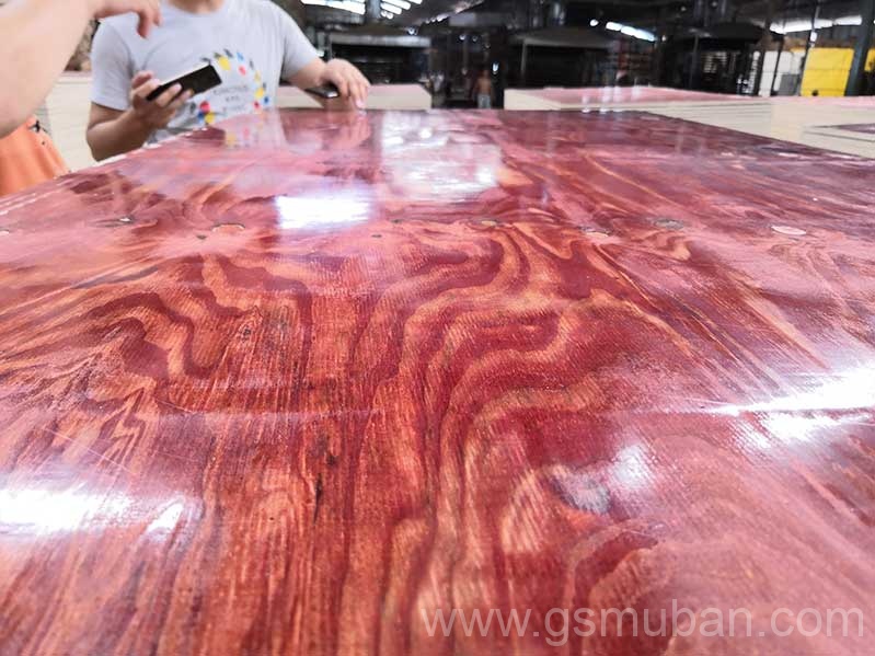 2025年建筑模板市場分析:機遇與挑戰并存! 2025年建筑模板市場分析:機遇與挑戰并存!